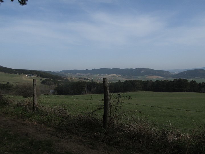 IMG_1401.JPG - Wieder über die Wiese...