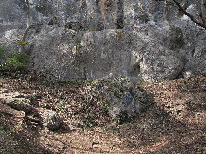 IMG_1405.JPG - Schließlich gelange ich zum Wandfußsteig.