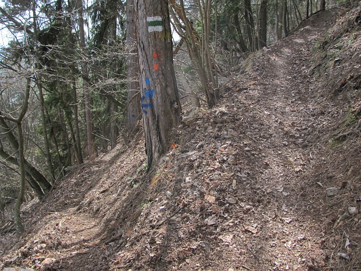 IMG_1407.JPG - ..verlasse ich hier nach rechts den Wandfußsteig.