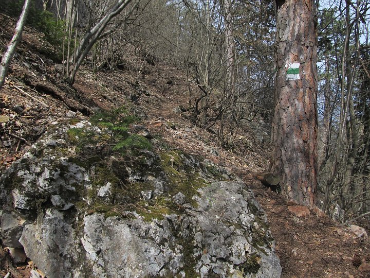 IMG_1409.JPG - Irgendwie erinnert mich der Steig an den Springlessteig.