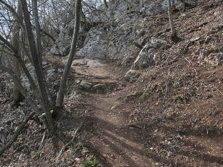 IMG_1415.JPG - Der Weg ist hier breit und gut zu gehen.
