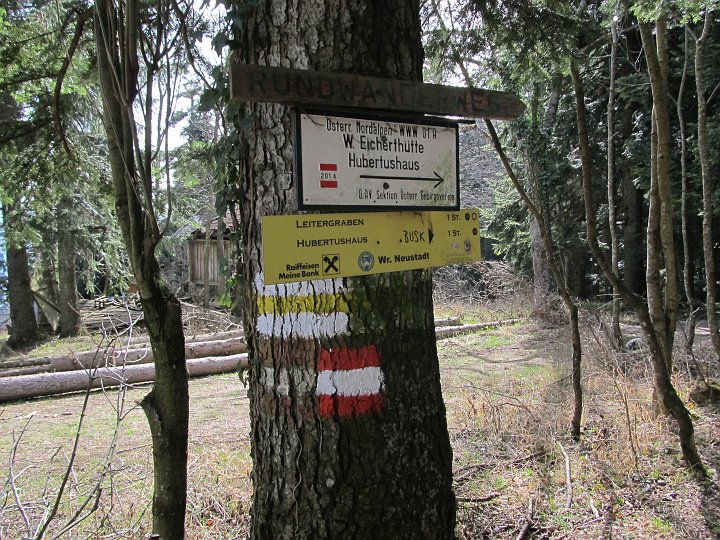 IMG_1437.JPG - Ich plane erneut den Abstieg über den Leitergraben 