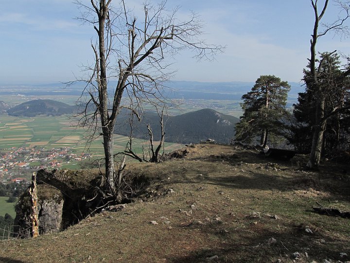 IMG_1439.JPG - Aber hier habe ich am Vormittag was gesehen ;-)