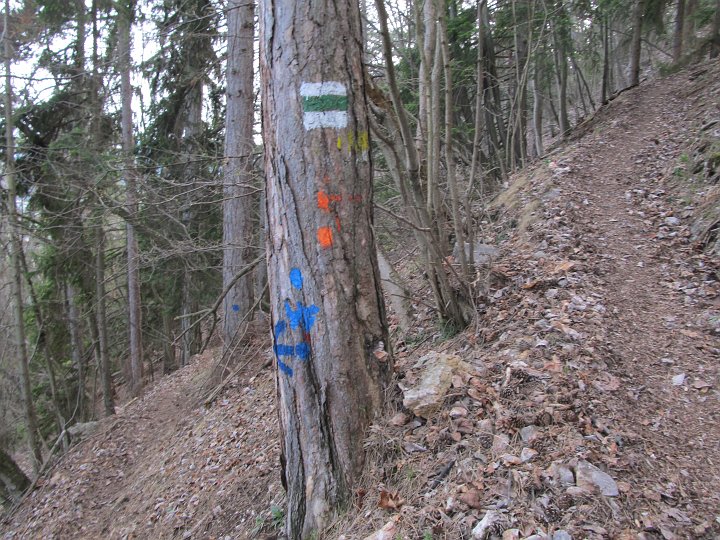IMG_1469.JPG - ..komme ich wieder zur Kreuzung.