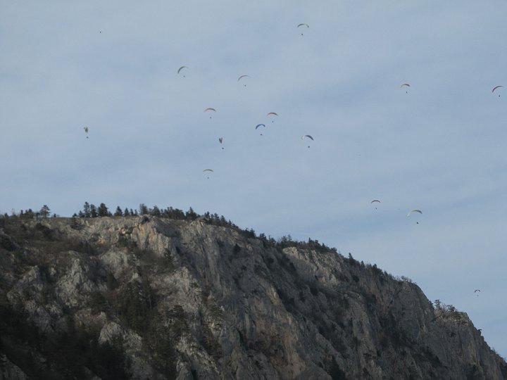 IMG_1472.JPG - Auf der Wiese- ein Schwarm Paragleiter.