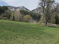 IMG_1399