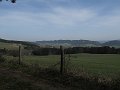 IMG_1401