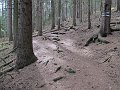 IMG_1403