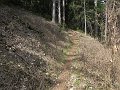 IMG_1404