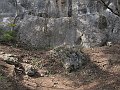 IMG_1405