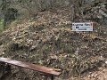 IMG_1406