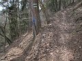 IMG_1407