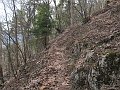 IMG_1408