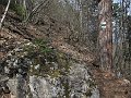 IMG_1409