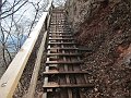 IMG_1413