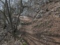 IMG_1415