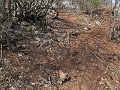 IMG_1417