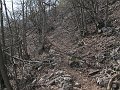 IMG_1418