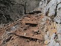 IMG_1419