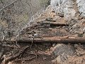 IMG_1420