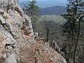 IMG_1421