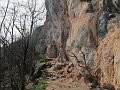 IMG_1429