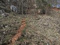 IMG_1432