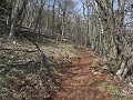 IMG_1433
