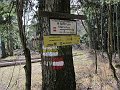 IMG_1437