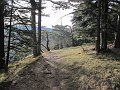 IMG_1451
