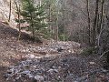 IMG_1453