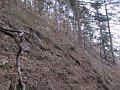 IMG_1455