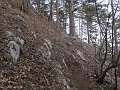 IMG_1456