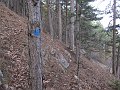 IMG_1457