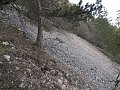 IMG_1459