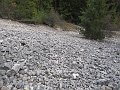 IMG_1460