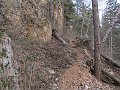 IMG_1466