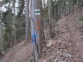 IMG_1469