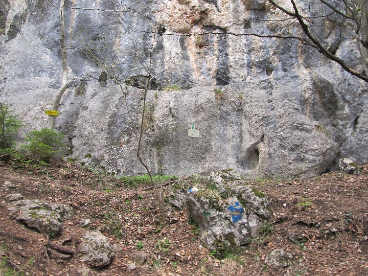 IMG_1480.JPG - ..bis zur Wand