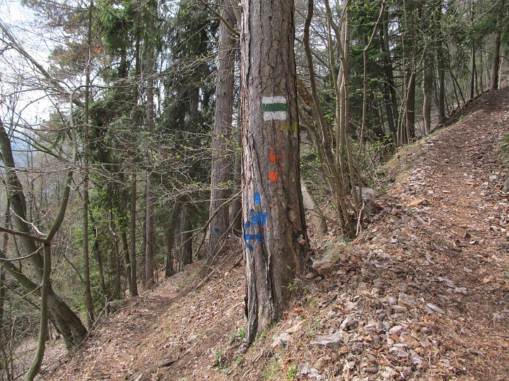 IMG_1482.JPG - ...hier links runter. Von rechts (Straßenbahnerweg) werden wir dann unseren ersten Abstieg herunter kommen.