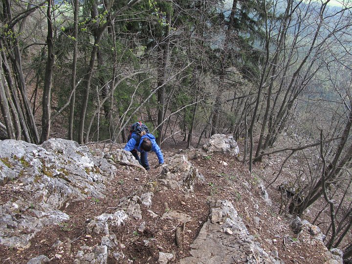 IMG_1521.JPG - Aber dann geht es nochmal einen steilen Grat durch den Wald