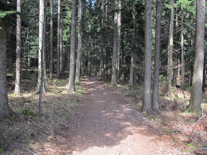 IMG_1539.JPG - Und oben! Kurze Rast, und dann geht es..