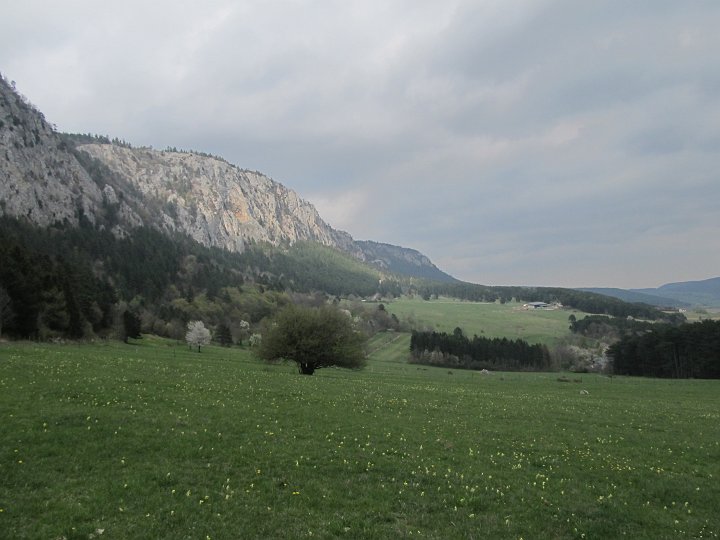 IMG_1584.JPG - ..über die Wiese wieder zum Auto