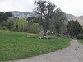 IMG_1475