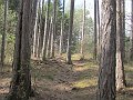 IMG_1476