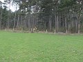 IMG_1478