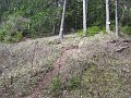 IMG_1479