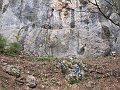 IMG_1480
