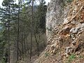 IMG_1485