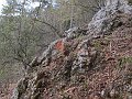 IMG_1486